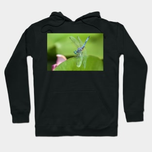 Blue Dasher Hoodie